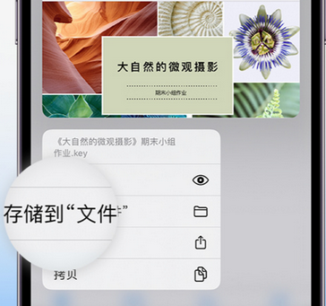 井研apple维修中心分享iPhone文件应用中存储和找到下载文件