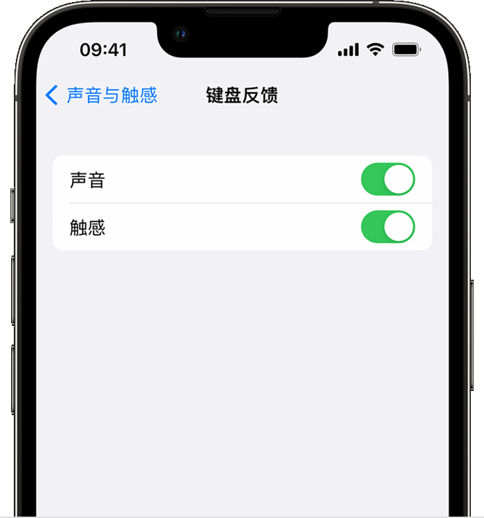 井研苹果14维修店分享如何在 iPhone 14 机型中使用触感键盘 