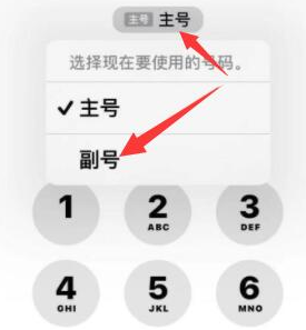 井研苹果14维修店分享iPhone 14 Pro Max使用副卡打电话的方法 