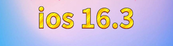 井研苹果服务网点分享苹果iOS16.3升级反馈汇总 