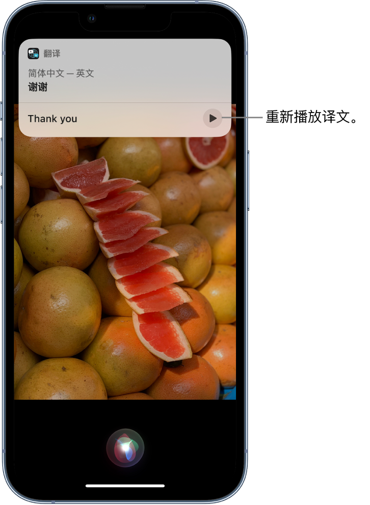 井研苹果14维修分享 iPhone 14 机型中使用 Siri：了解 Siri 能帮你做什么 