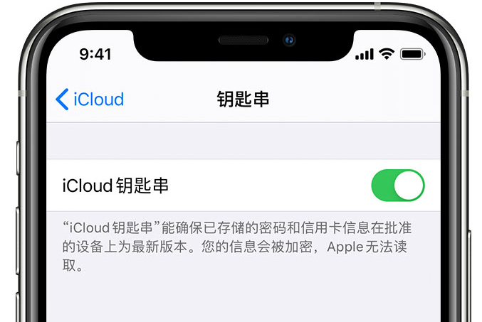 井研苹果手机维修分享在 iPhone 上开启 iCloud 钥匙串之后会储存哪些信息 